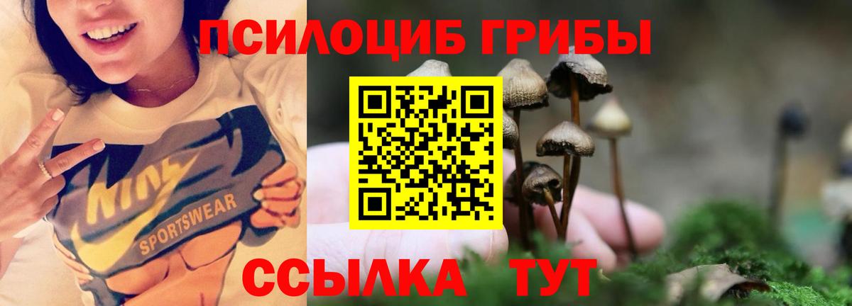 Лысьва  Псилоцибиновые грибы мицелий  Галлюциногенные грибы GOLDEN TEACHER  Вход с VPN 